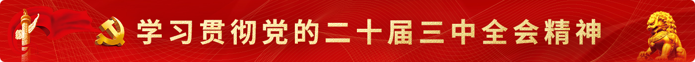二十届三中全会精神