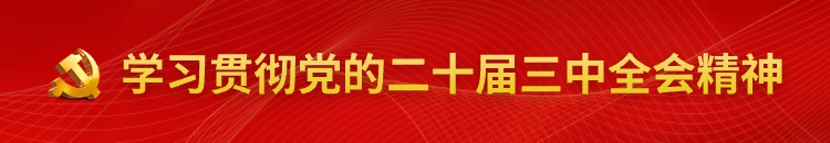 二十届三中全会精神