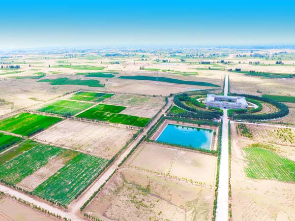 工程与生物治沙再获国家级荣誉 ——甘肃建投新能源公司获批国家林业重点龙头企业
