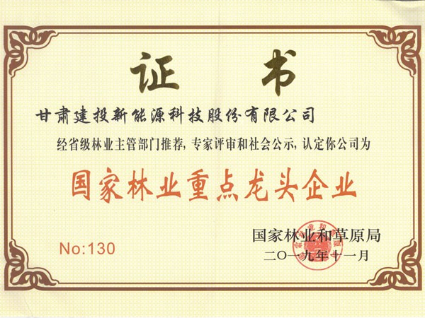 甘肃建投新能源公司喜获第四届“中国林业产业创新奖”及“国家林业重点龙头企业”称号