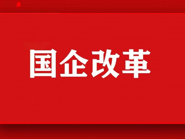甘肃建投新能源科技股份有限公司  深化国企改革三年行动，推进对标一流管理提升