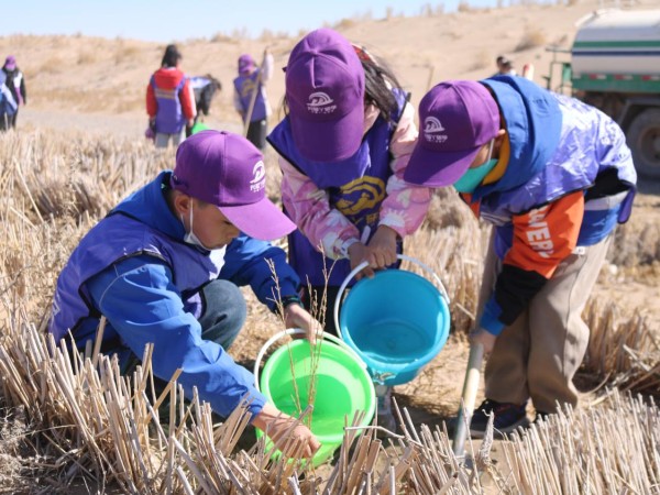 甘肃建投新能源公司沙漠研学旅行基地举办“我与小树共成长，争做护绿小使者”主题研学活动