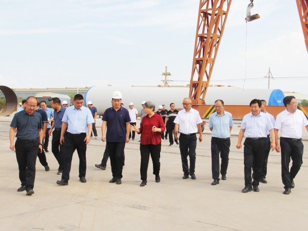 武威市委副书记、市长马秀兰一行调研甘肃建投新能源公司