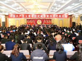 甘肃建投新能源公司代表参加 共青团武威市第四次代表大会