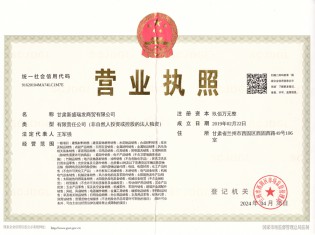 甘肃新盛瑞发商贸有限公司营业执照