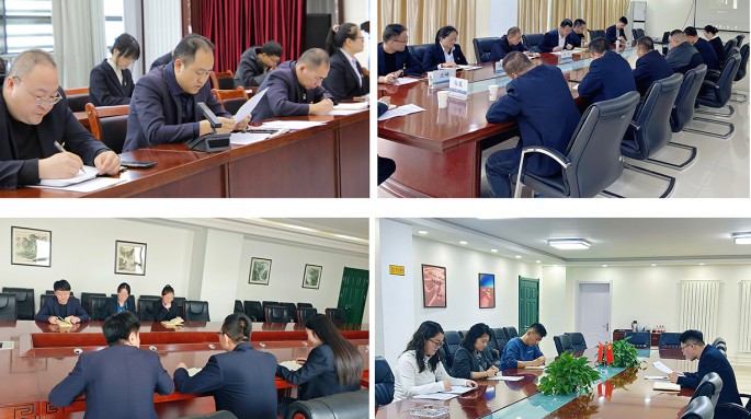 甘肃建投新能源公司各党支部召开2024年度组织生活会