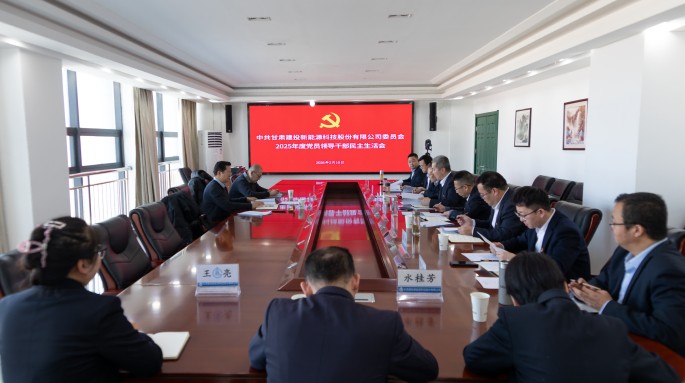 甘肃建投新能源公司党委召开2025年度民主生活会